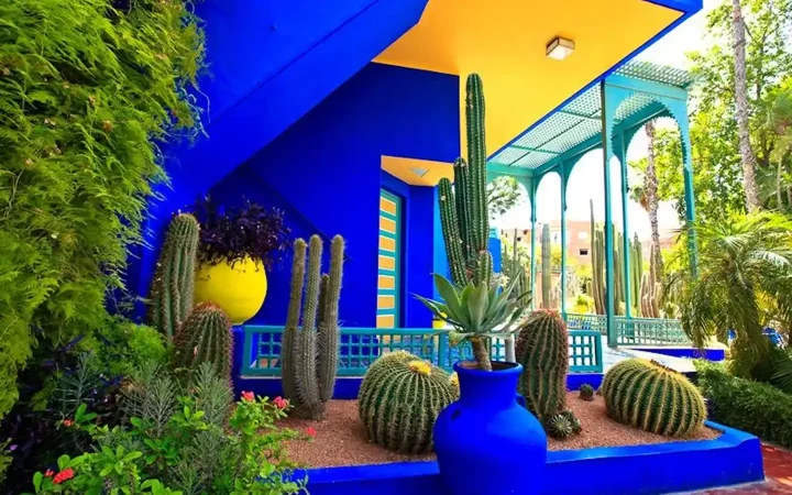 449738473_4155882476_f16edd9499_c 1