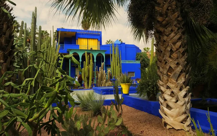 bradley-pritchard-jones-BZkui1Wkj8Y-unsplash